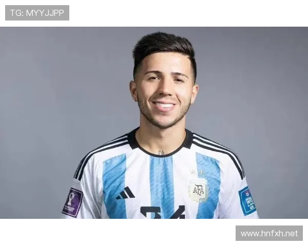 恩佐·费尔南德斯英超适应性与战术适配解析