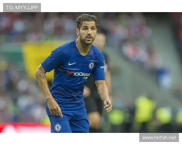 法布雷加斯与萨内蒂在中场推进中形成多点参与与单点驱动的结构分化